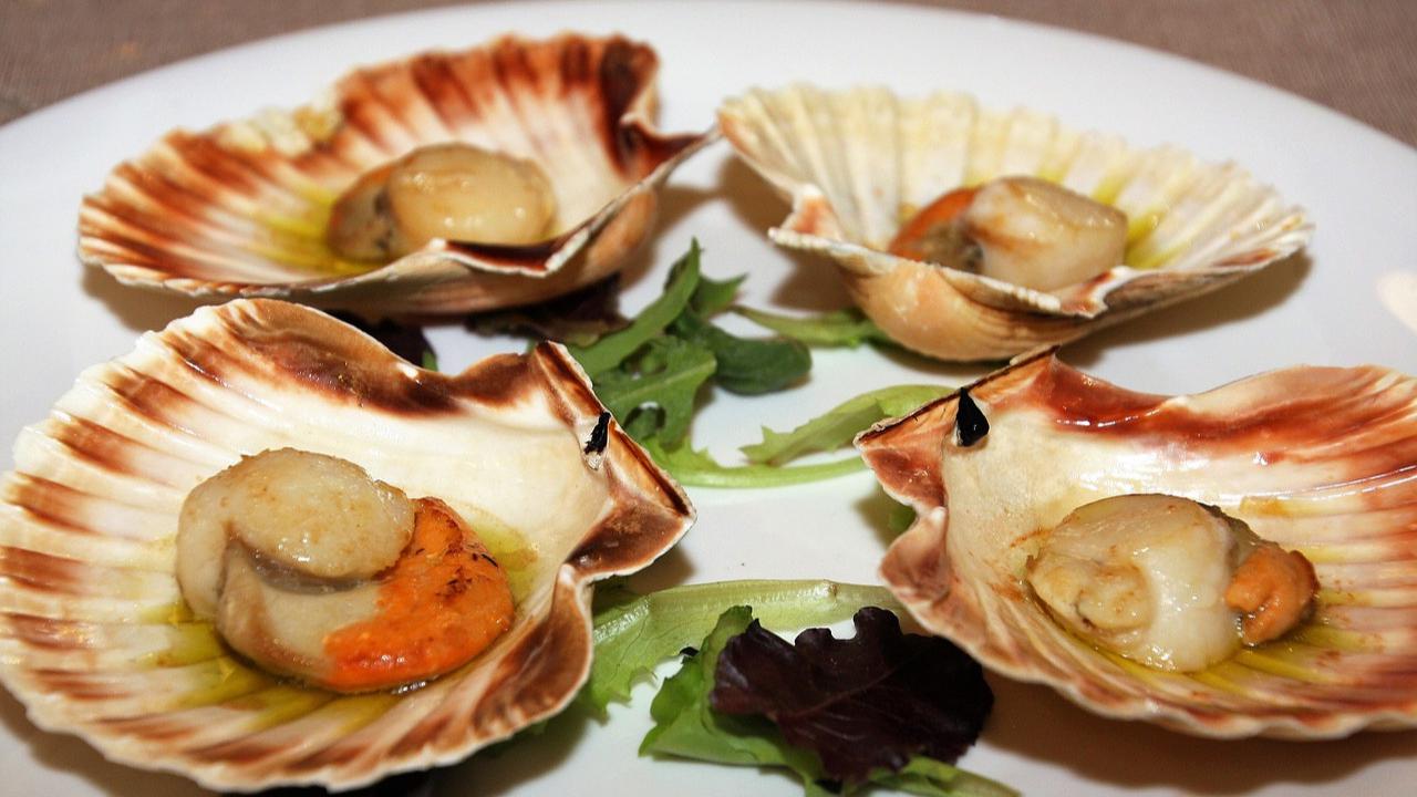 9 Jenis Seafood yang Aman untuk Diabetes, Kaya Nutrisi