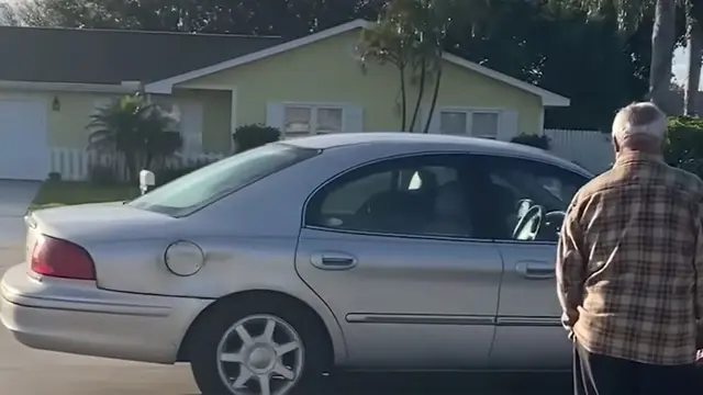 anjing nyetir mundur di Florida (sumber: WPLG)