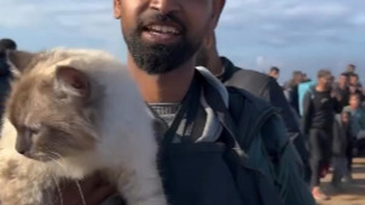 Potret Warga Gaza Palestina Pulang Bersama Kucing Mereka Berjalan Kaki di Tengah Puing Bangunan