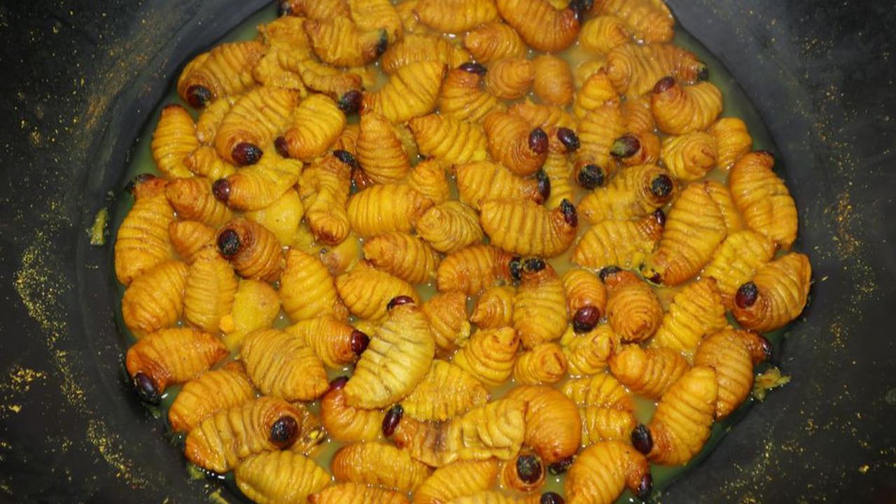 3. Ulat Sagu