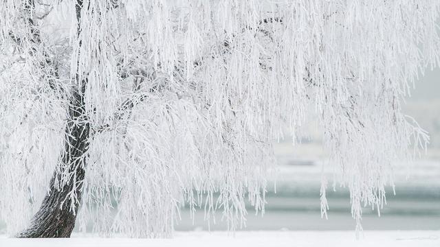 30 Kata-Kata Mutiara Sambut Bulan Desember, Harapan Akhir Tahun