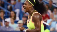Serena Williams (Maddie Meyer/Getty Images/AFP)