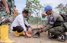 Pemkab Pidie Jaya Tanam 300 Pohon untuk Pulihkan Lahan Pascabencana Hidrometeorologi