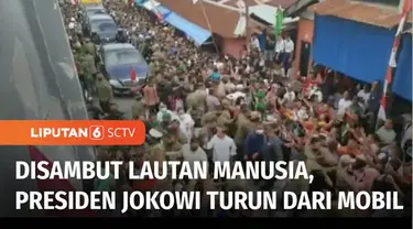 Lautan manusia terjadi saat Presiden Joko Widodo menyambangi Kota Saumlaki di Kabupaten Kepulauan Tanimbar, Maluku, Jumat (02/08) pagi. Melihat antusiasnya masyarakat, Presiden pun turun dari mobil dan menyapa warga sambil berjalan kaki serta membagi...