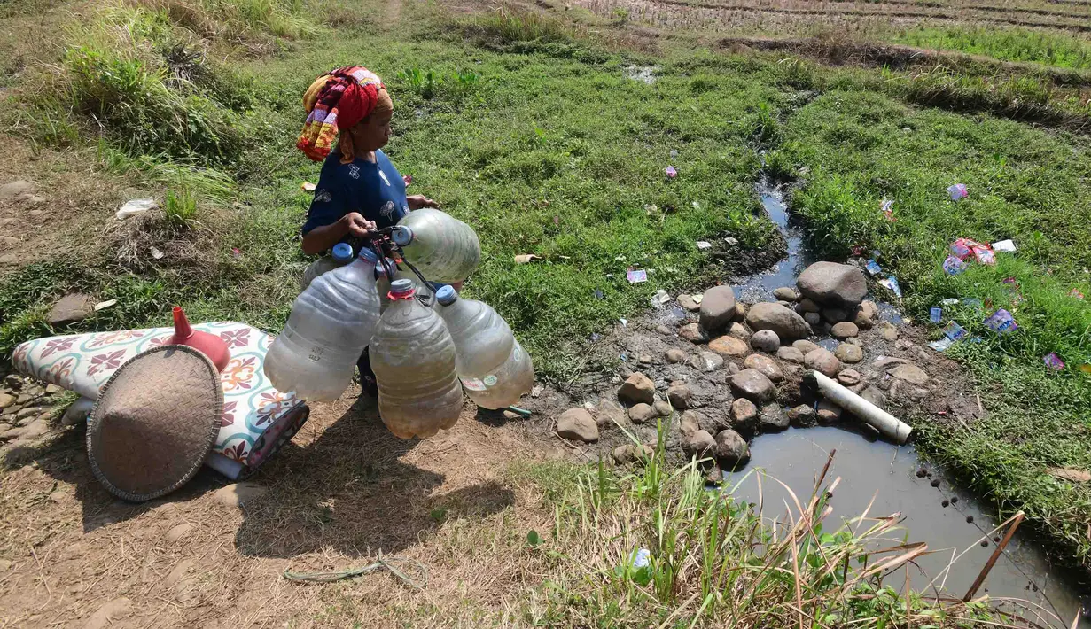 Warga mengambil air untuk kebutuhan sehari-hari pada kubangan bekas sawah di  kawasan Weninggalih, Jonggol, Jawa Barat, Selasa, 25 Agustus 2026. (KLY/ Arie Basuki)