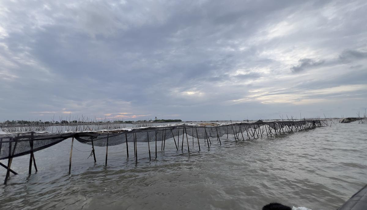 Pagar Laut Bambu Sepanjang 30 KM di Pantura Tangerang
