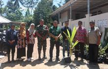 Pemkab Kuningan Salurkan Bibit Kelapa Genjah, Ganti Komoditas Sawit Demi Lingkungan dan Ekonomi Petani