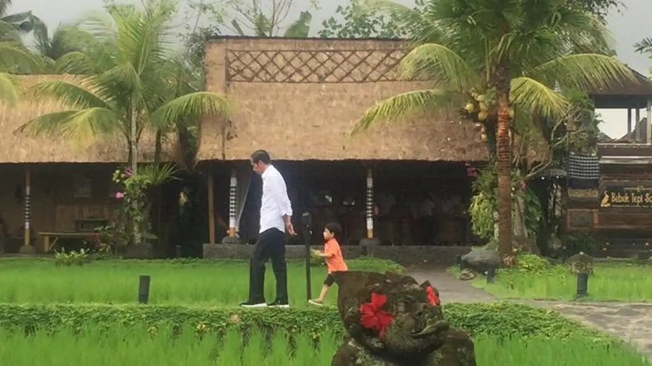 Disela-sela kunjungan kerjanya di Bali, Presiden Joko Widodo atau Jokowi menyempatkan untuk menemani sang cucu Jan Ethes Srinarendra bermain di pinggir sawah.