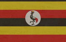 Ratusan Kasus Penyakit Misterius Merebak di Uganda, Berikut Gejala dan Cara Pengobatannya