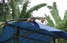 Lokasi Ini Jadi Surganya Durian di Serang, Penjualnya Ada di Sepanjang Jalan Kampung