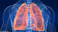 Pneumonia dan Diare Masih Penyebab Kematian di Daerah Tertinggal