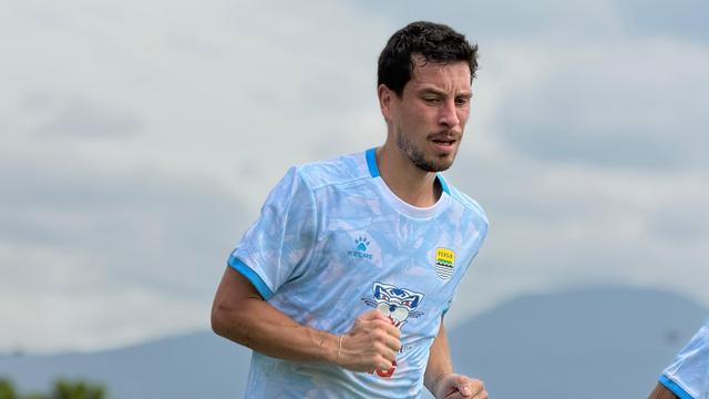 Thom Haye, Persib Bandung