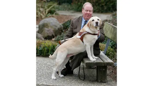 Michael Hingson dan anjing pemandunya Roselle berada di Menara Utara pada 11 September 2001 atau tragedi (9/11), ketika gedung tersebut ditabrak oleh American Airlines Penerbangan 11. (Michael Hingson)
