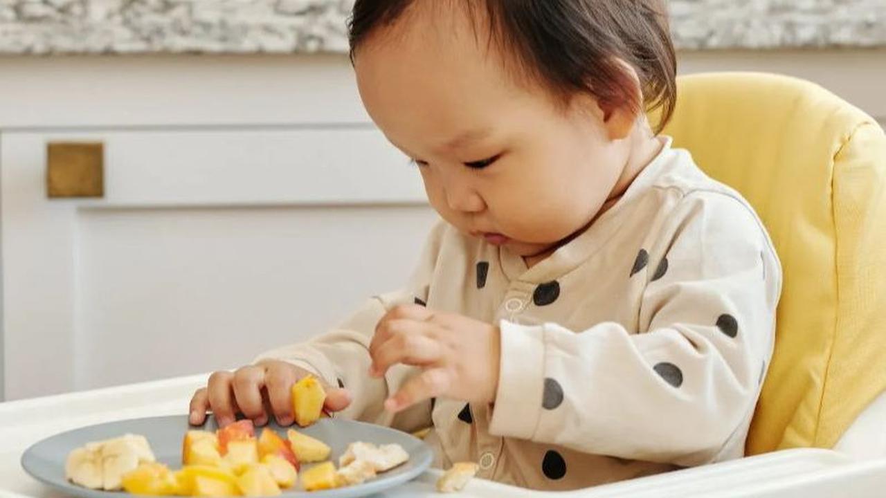 Seperti dikutip dari website Kemenkes.go.id, anak mulai usia enam bulan sudah membutuhkan tambahan energi, protein dan zat besi.