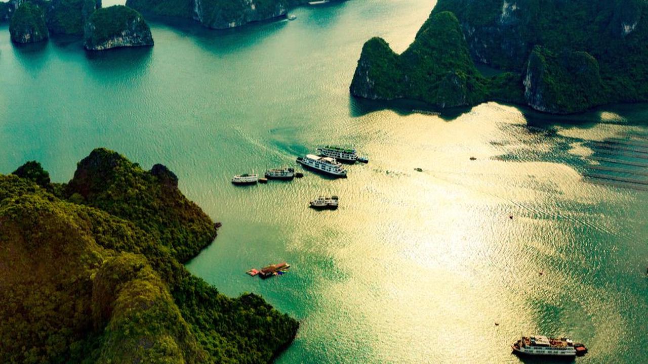 5.&nbsp;Atlas Pearl Farm