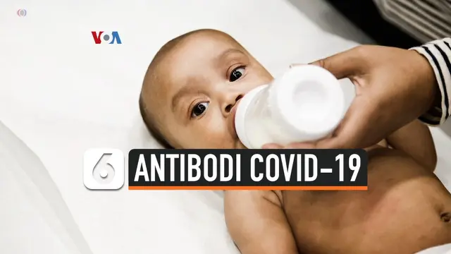 antibodi covid-19