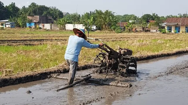 Petani Milenial Pematang Sikek Terapkan Pertanian Berbasis Teknologi 