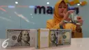 Petugas tengah menata mata uang dolar di Jakarta, Rabu (13/9). Dolar AS mulai menguat terhadap rupiah. (Liputan6.com/Angga Yuniar)