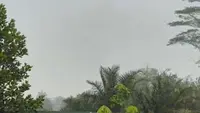 Kabut Asap Kebakaran Hutan Masih Hantui Desa Limbung Kalbar