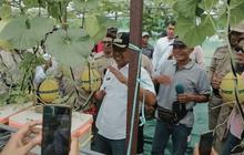 Pengembangan Melon Sumbawa Barat: Poto Tano Dicanangkan Jadi Lumbung Hortikultura