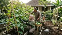 5 Cara Menanam Mentimun di Pekarangan agar Tumbuh Subur dan Berbuah Lebat
