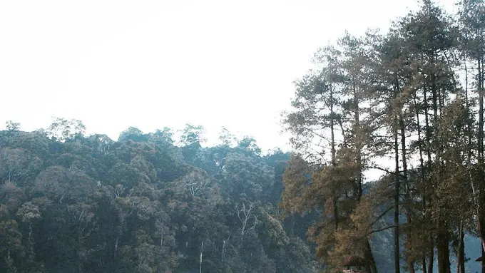 [Bintang] Jawa Barat