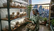 8 Cara Menanam Jamur di Rumah, Langkah Sederhana dari Kit hingga Panen