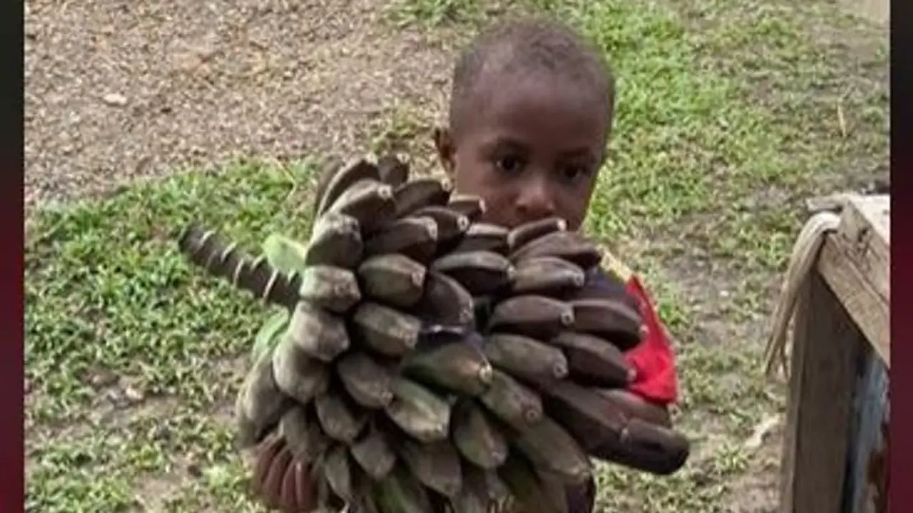 Sistem Barter Makanan Ternyata Masih Ada di Papua, Pisang Ditukar dengan Mi Instan