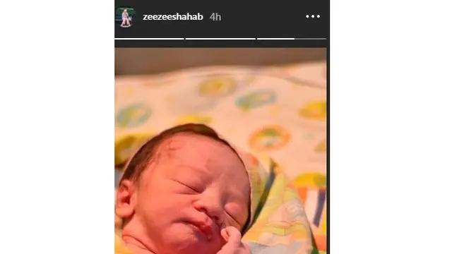 Zee Zee Shahab