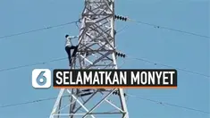 vertical monyet