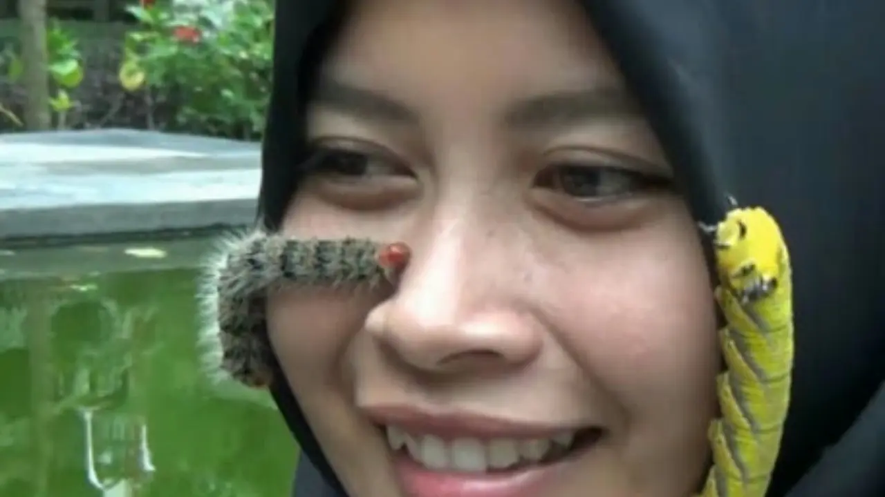 Siapa Sangka Mahasiswi Ini Hobi Main Ulat Bulu dan Kalajengking