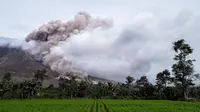 Suasana di dekat kawasan Gunung Sinabung yang kembali mengalami erupsi, Karo, Sumatera Utara (1/11). Letusan Gunung Sinabung berikutnya terjadi pada 2013 dan hingga saat ini kerap kali mengalami erupsi. (AFP Photo/Satar Ginting)