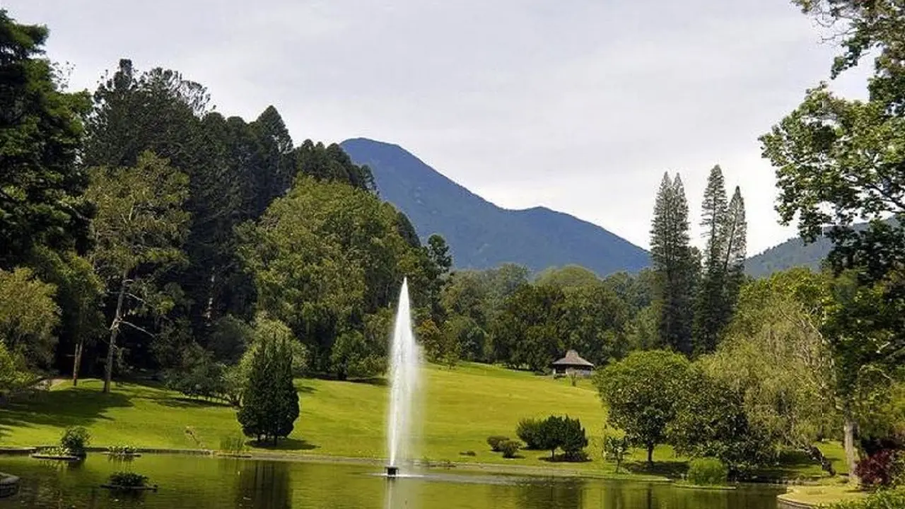 Kebun Raya Cibodas