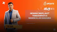Sebuah video yang diklaim hewan 'sapi laut' terdampar di Bangkalan, Madura, Jawa Timur beredar di media sosial. Benarkah dalam video tersebut hewan 'sapi laut' terdampar di Bangkalan, Madura, Jawa Timur?