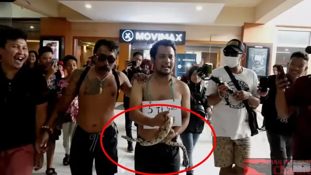 Nekat, Ini 6 Potret Panji Petualang Pakai Kolor Bawa Ular Keliling Mall