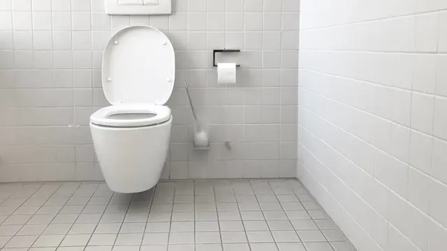5 Dampak Buruk Kebiasaan Main Ponsel di Toilet, Bahayakan Kesehatan