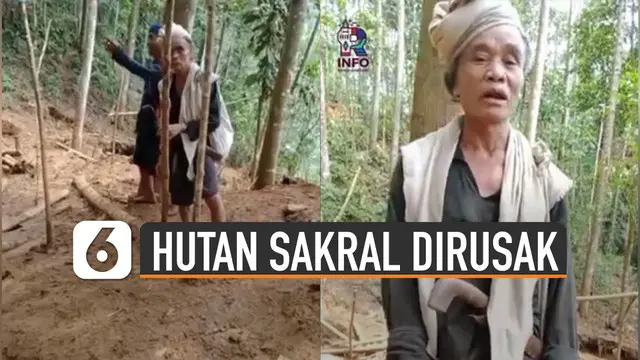 Beredar video warga masyarakat Baduy keluhkan hutan sakral dirusak penambang emas liar.