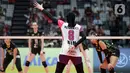 Megawati Hangestri Pertiwi menjadi bintang kemenangan Jakarta BIN atas Jakarta Electric PLN dalam final Proliga 2024. (Liputan6.com/Helmi Fithriansyah)