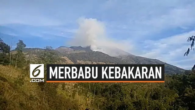 Taman Nasional Gunung Merbabu kembali mengalami kebakaran pagi ini. Kebakaran terjadi di sisi sebelah timur, dan terjadi cukup besar.