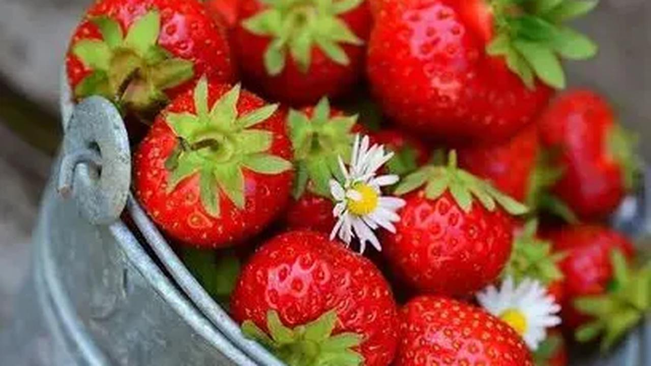 4. Buah Berries