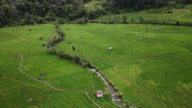 Potret Desa Pakantan di kaki gunung kulabu.