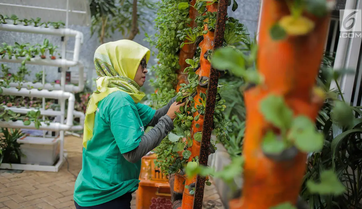 Petugas mengecek kondisi bibit bunga di Balkot Farm yang terletak di Balai Kota DKI Jakarta, Senin (16/9/2019). Dengan adanya Balkot Farm ini, dapat bermanfaat untuk menyerap polutan dan meningkatkan kualitas udara.  (Liputan6.com/Faizal Fanani)