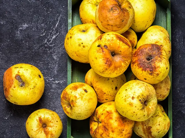 Ini Risiko Dan Bahaya Kesehatan Makan Apel Yang Mulai Busuk Lifestyle Fimela Com
