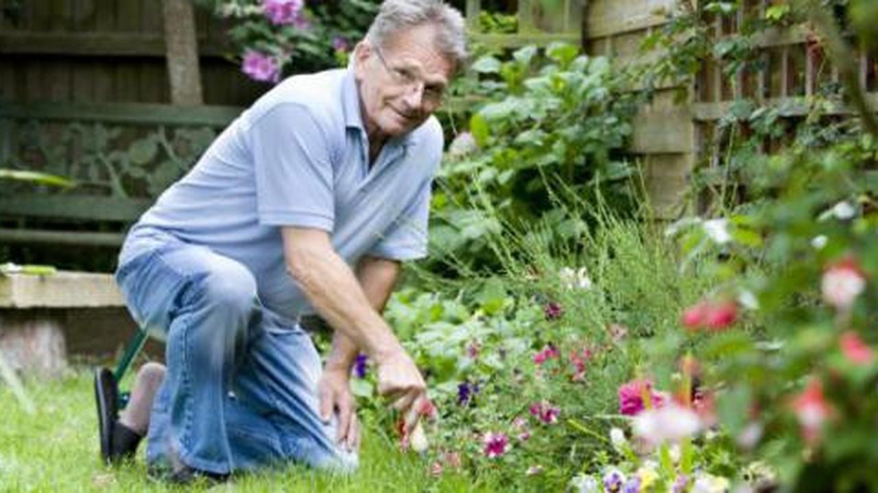 Berkebun, hobi asyik yang menyehatkan