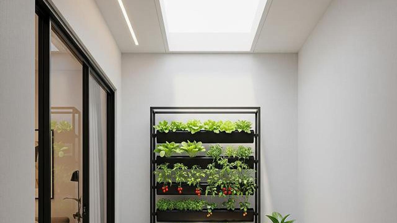 9 Desain Teras Minimalis dengan Kebun Sayur Vertikal, Maksimalkan Lahan Sempit