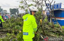 Polres Cianjur Rekayasa Arus Akibat Pohon Tumbang Cianjur, Satu Korban Tewas