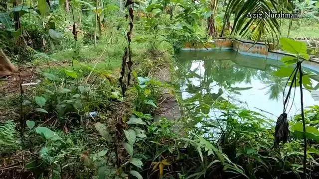 Rumah Singgah Ahmad Dhani (YouTube/Aziz Nurahman)