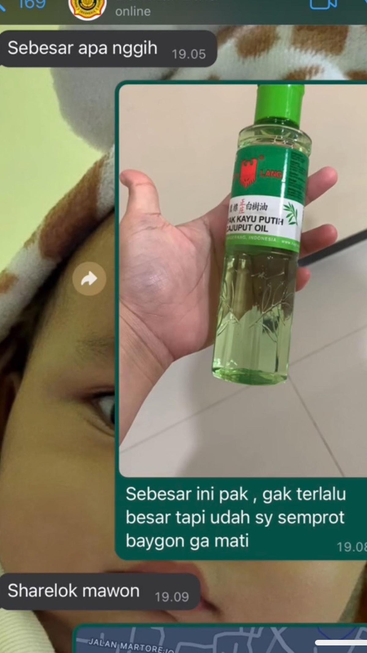 Dok. Istimewa