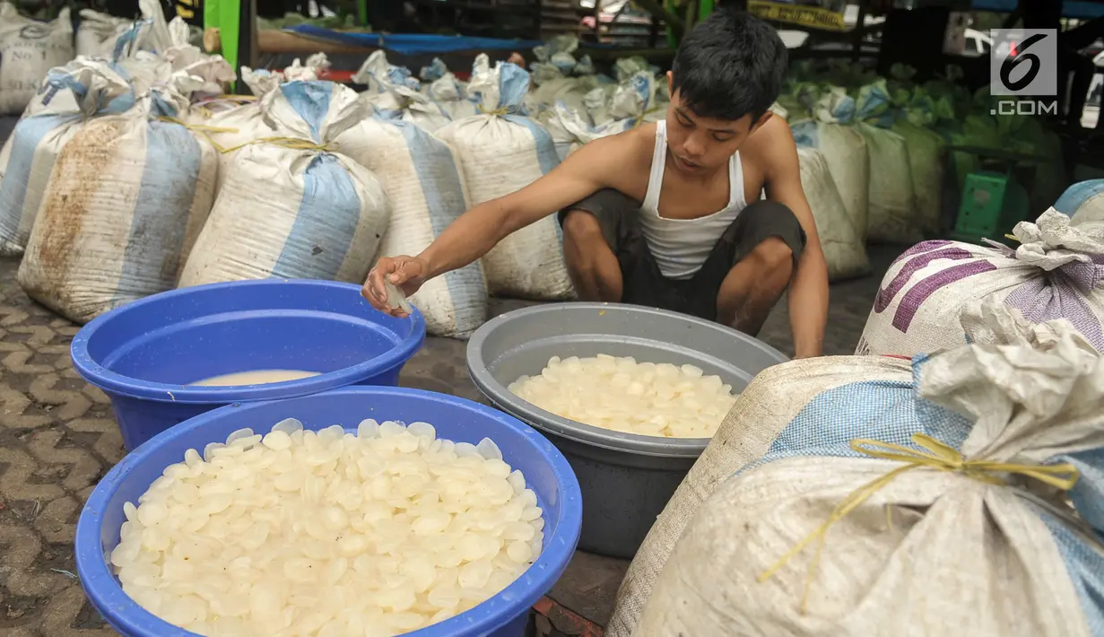 Pedagang memisahkan buah kolang-kaling yang akan dijual di Pasar Induk, Kramat Jati, Jakarta Timur, Jumat (2/6). Pada bulan Ramadan permintaan buah kolang-kaling naik hingga tiga kali lipat. (Liputan6.com/Yoppy Renato)