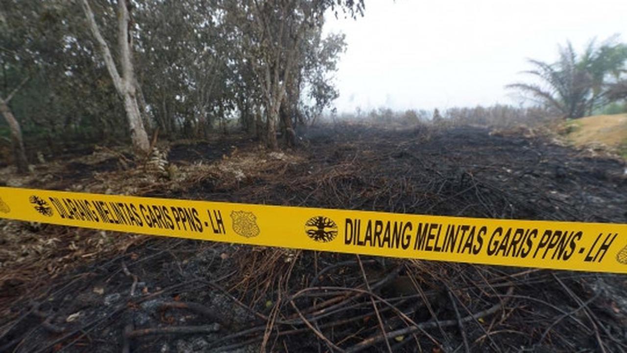 Ini lahan di Riau yang diduga sengaja dibakar